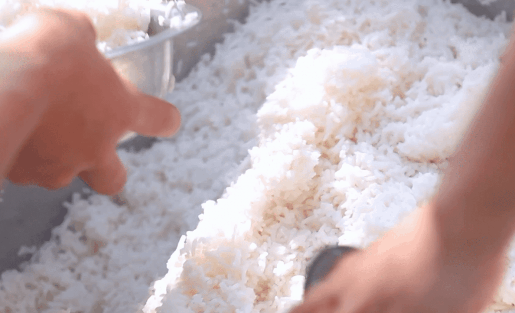 What is White Rice and Its Role in Dog Diets?